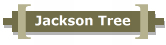 Jackson Tree